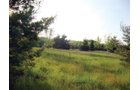 Property photo 5 - 10 Acre Building Site Real Estate Auction